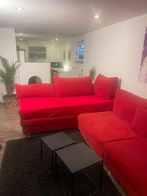 Gemuetliches Einliegerapartment, 50 Qm Trippstadt 外观 照片
