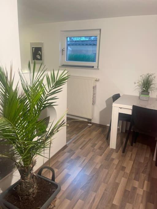 Gemuetliches Einliegerapartment, 50 Qm Trippstadt 外观 照片